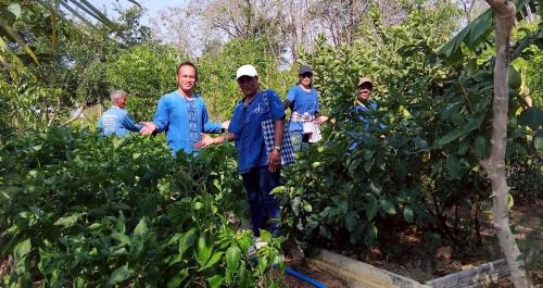 เครือข่ายโคก หนอง นา อำเภอซับใหญ่