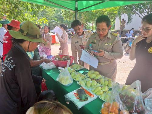 การจัดจำหน่ายสินค้า OTOP สินค้าเกษตร และสินค้าชุมชน ในวันประชุมกำนัน ผู้ใหญ่บ้าน ครั้งที่ ๖/๒๕๖๙ ประจำเดือน มิถุนายน ๒๕๖๙